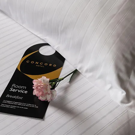 Concord Hotel 4*