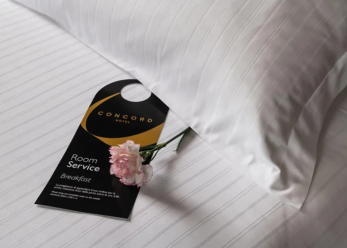 Concord Hotell 4*